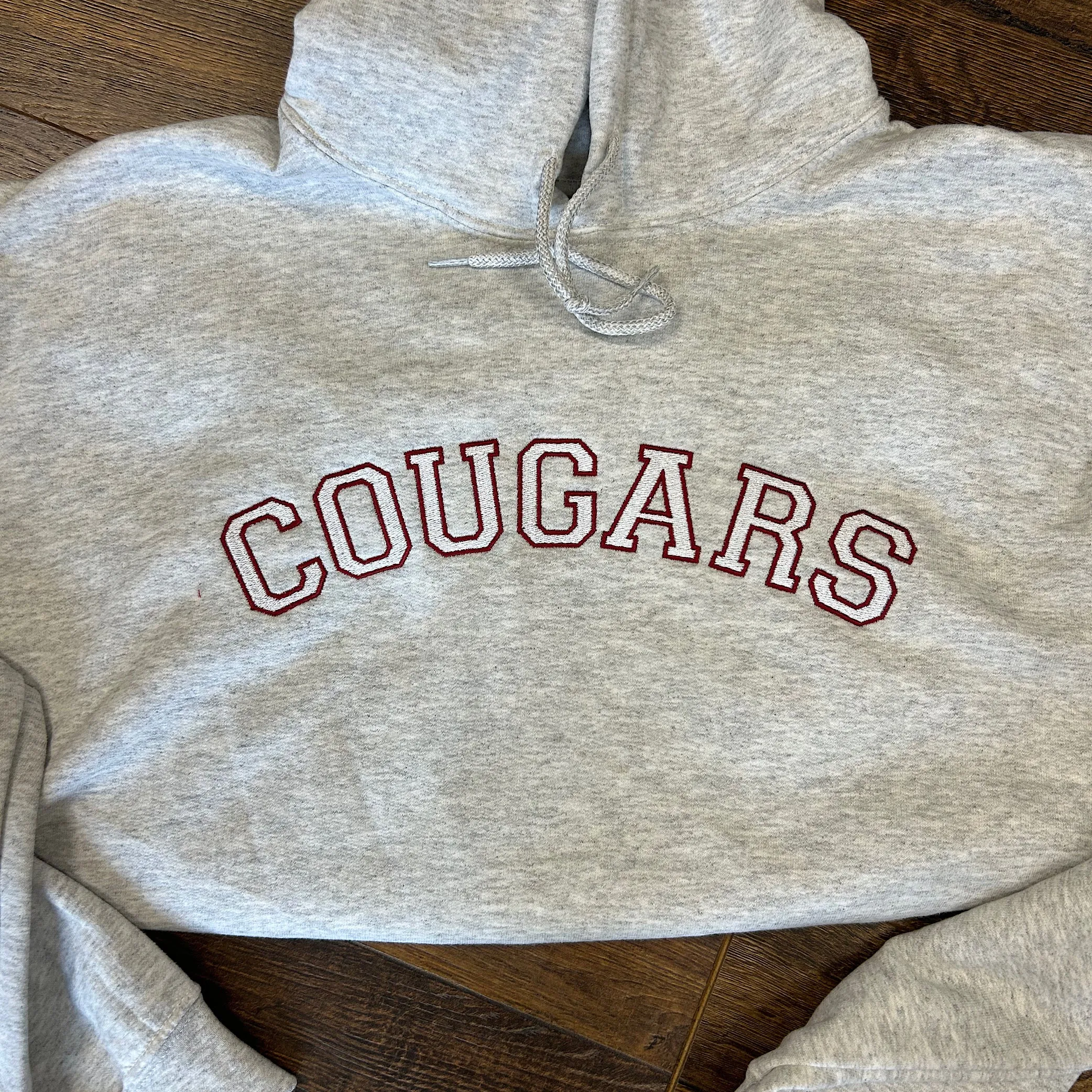 Custom School/Team Mascot Hooded Sweatshirt