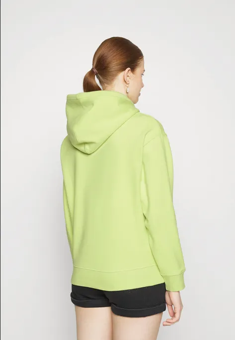 Levi's oversized women's minilogo sweatshirt with hood 246930034 daiquiri green 