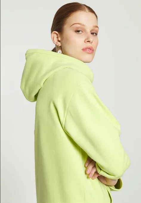 Levi's oversized women's minilogo sweatshirt with hood 246930034 daiquiri green 