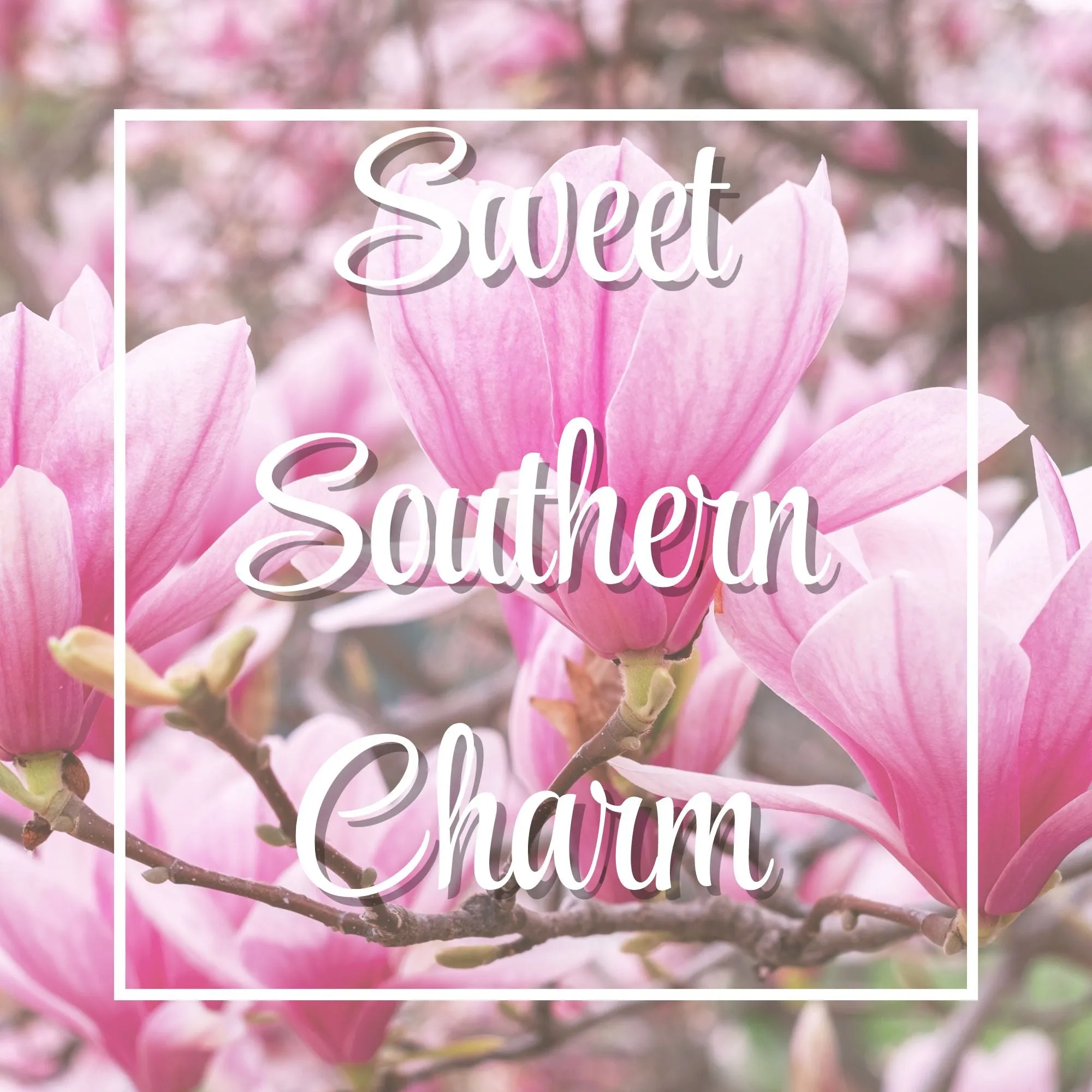 Sweet Southern Charm